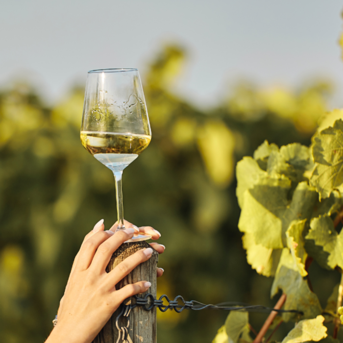 Best Australian White Wine to Drink in 2025