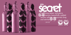 Secret 96 Point 2020 McLaren Vale 2020 Shiraz Six-Pack