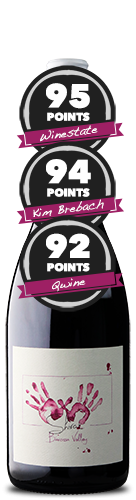 Purple Hands Shiraz 2022