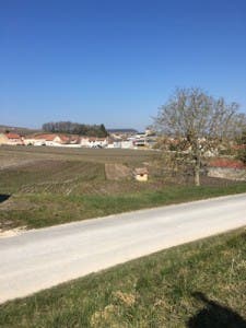 le-mesnil-vineyard-2-300