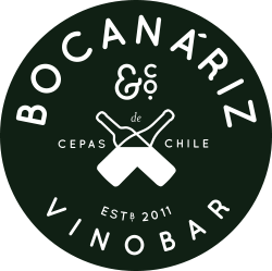 Bocanariz - Santiago, Chile's Most Awarded Wine Bar