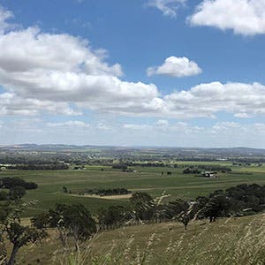 A Weekend in the Barossa Valley